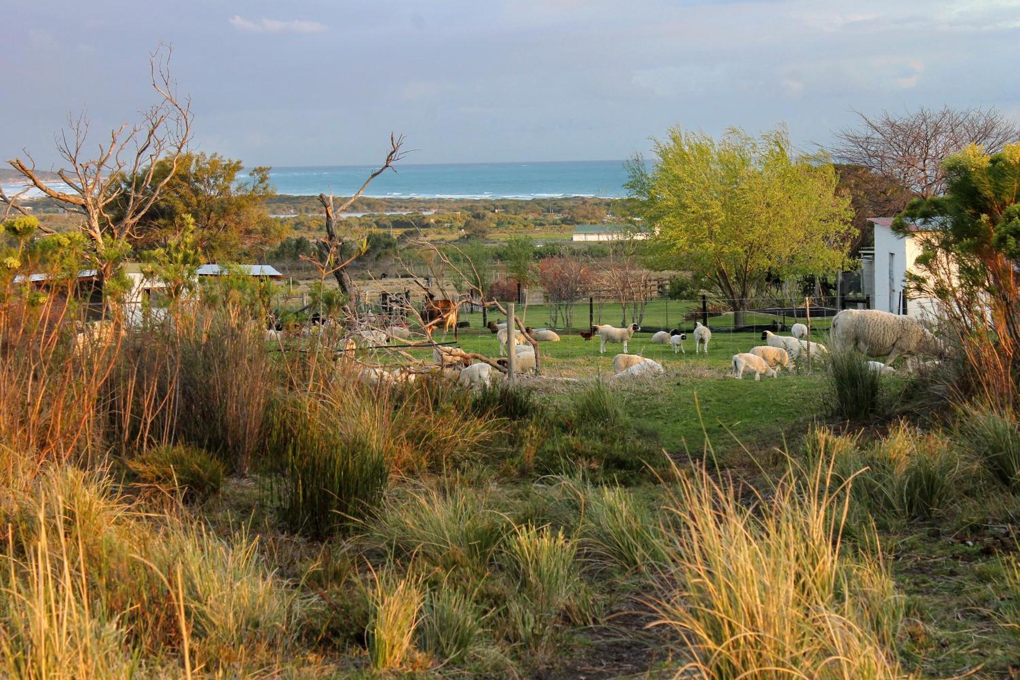 Вилла Blombos Self-Catering House Franskraalstrand Экстерьер фото